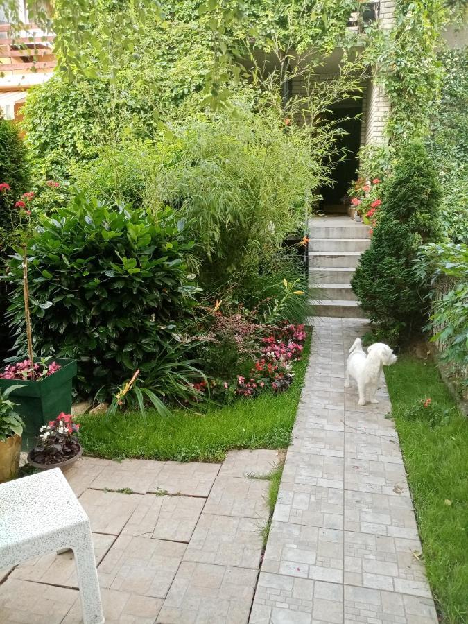 Dusica Apartmani Jagodina Eksteriør billede