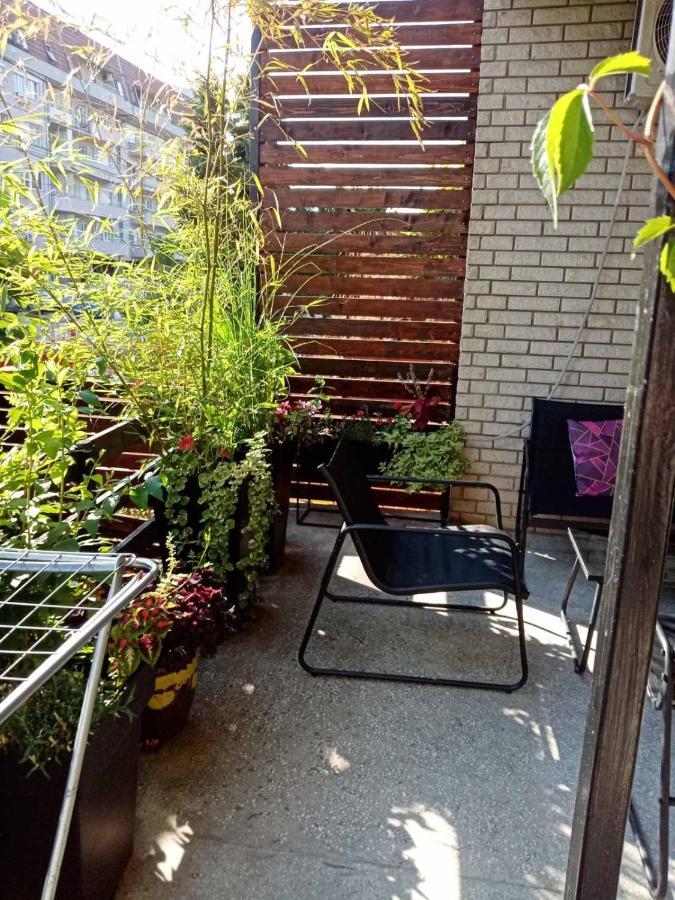 Dusica Apartmani Jagodina Eksteriør billede