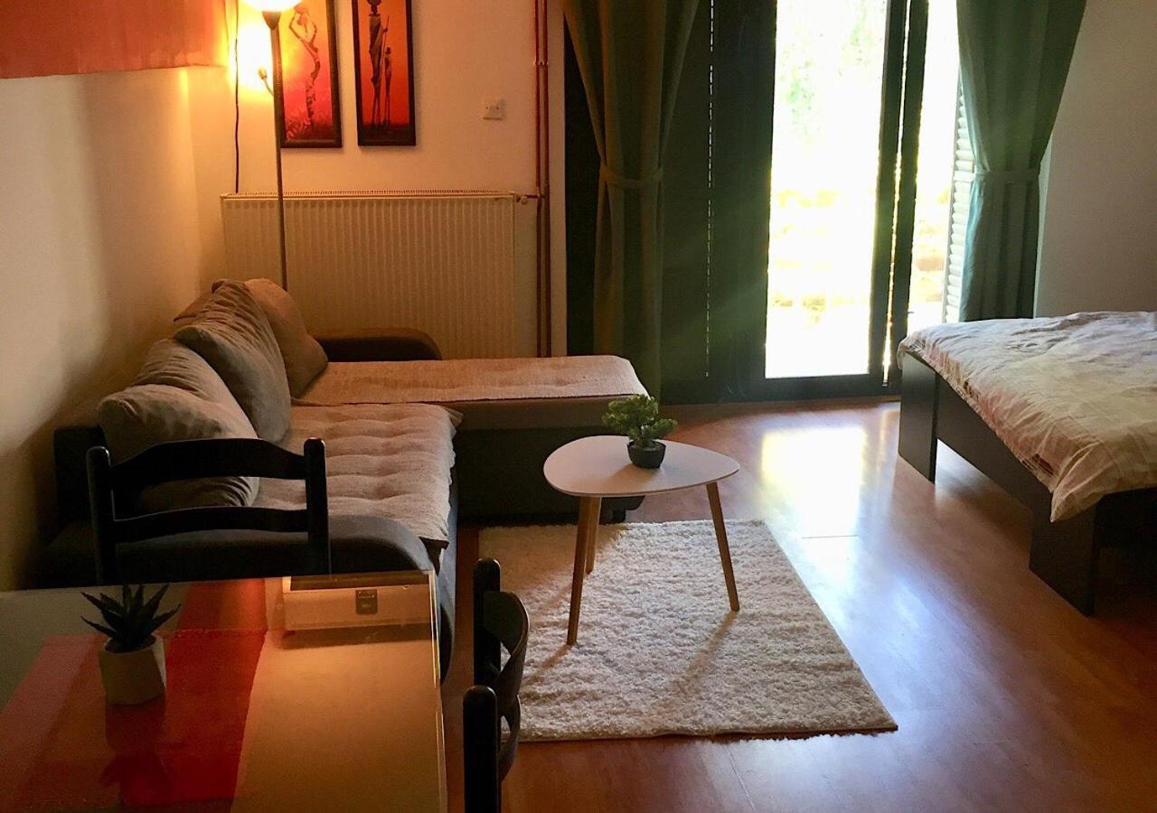 Dusica Apartmani Jagodina Eksteriør billede